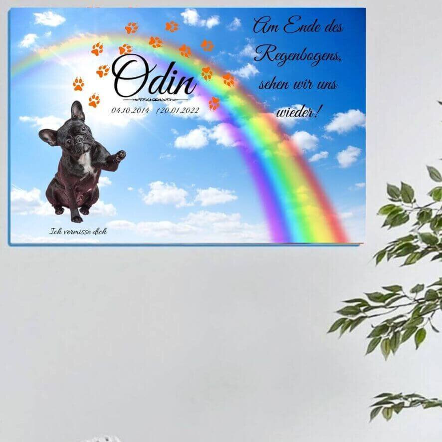 Bilder Regenbogenspuren