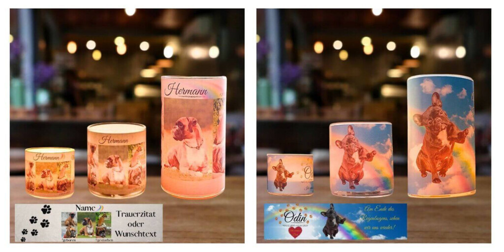 Bilder Regenbogenspuren