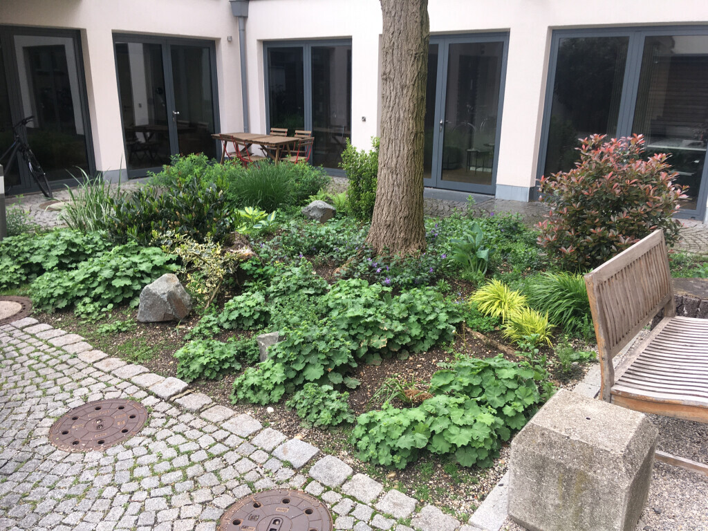 Bilder Gartenprofi Christian Kieweg, Gestaltung & Gartenpflege