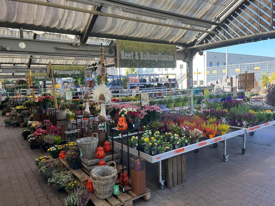 Bilder HORNBACH Gartencenter Binzen