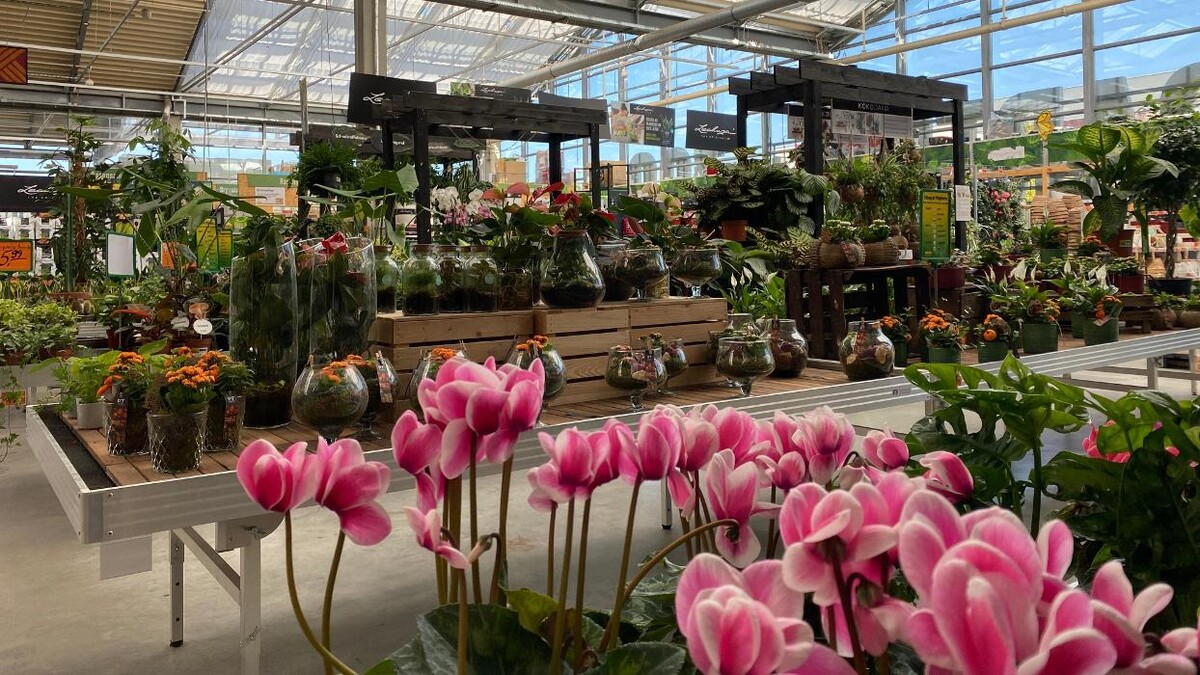 Bilder HORNBACH Gartencenter München-Freiham