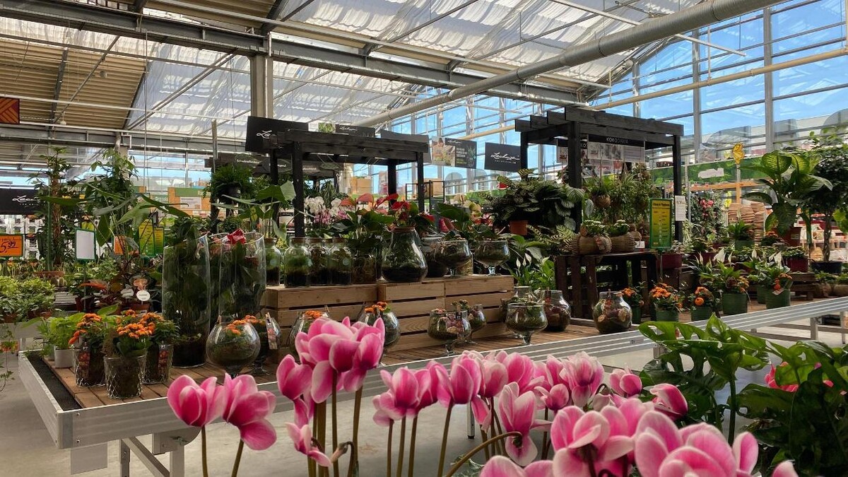 Bilder HORNBACH Gartencenter München-Freiham