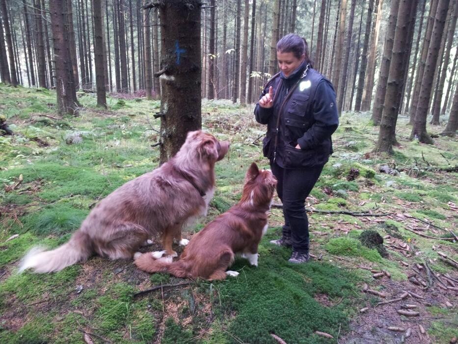 Bilder Clever Canine - Hundeschule Kathrin Klinke