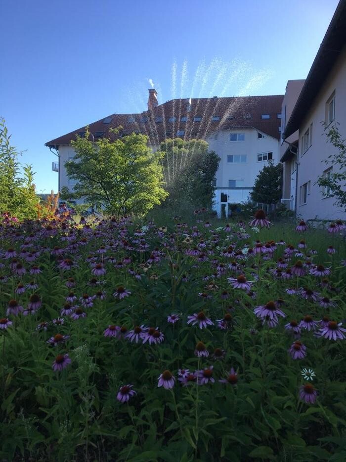 Bilder Bandscheibenklinik Gesingen