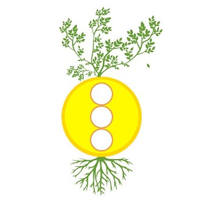 Bilder Beratung und Coaching Antje Bauer