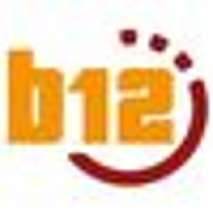 Bilder b12 AG - Informationstechnologie für Unternehmen