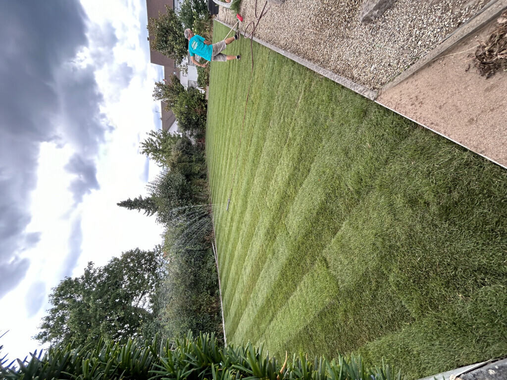 Bilder Suka Gartenbau
