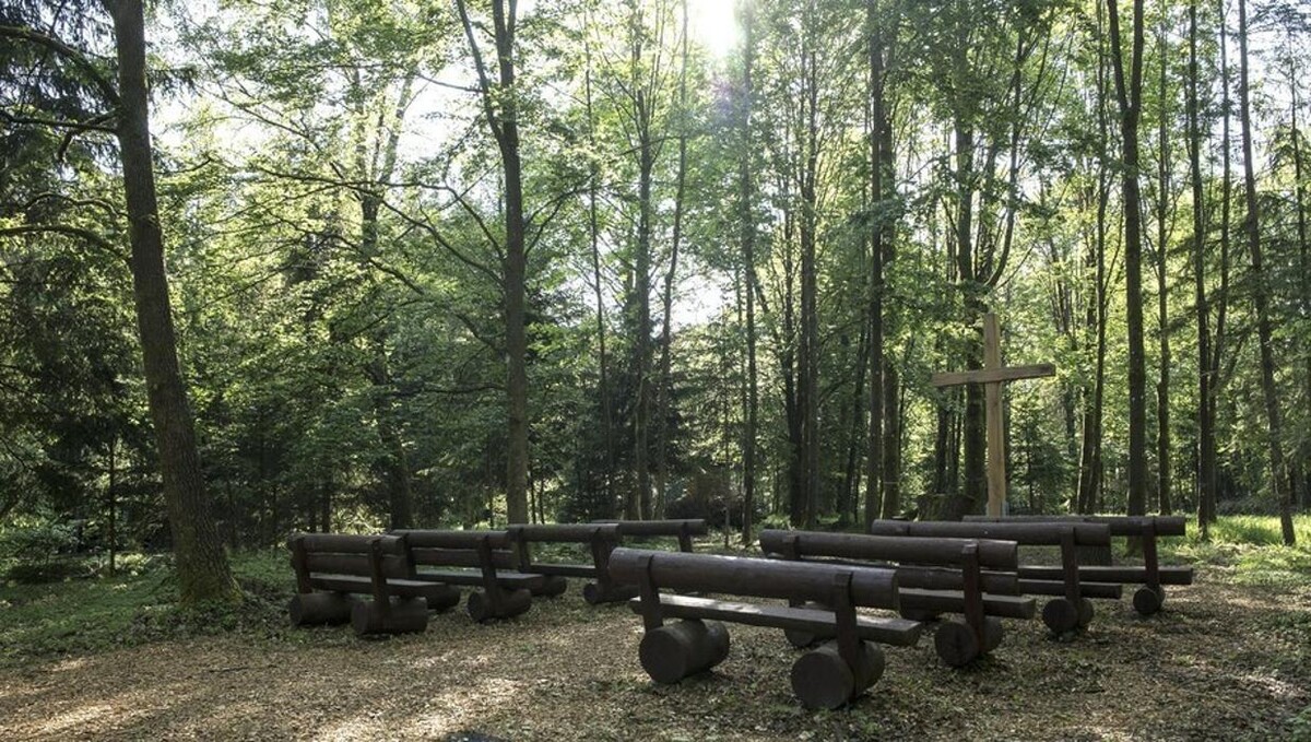 Bilder FriedWald Luisenburg im Fichtelgebirge