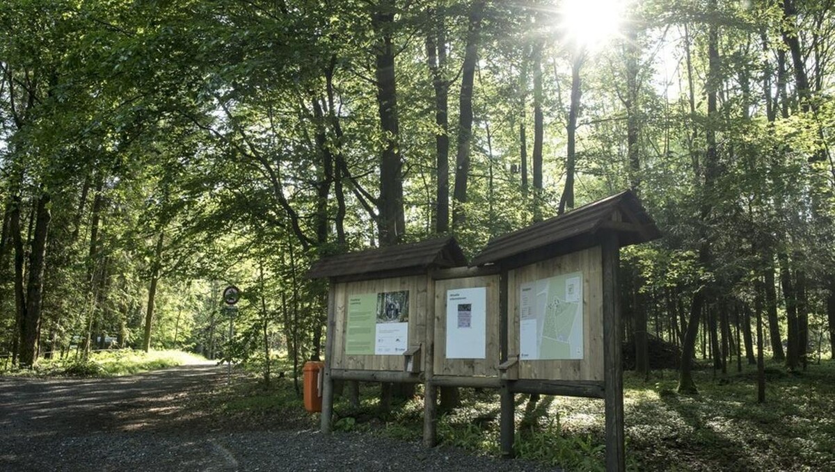 Bilder FriedWald Luisenburg im Fichtelgebirge