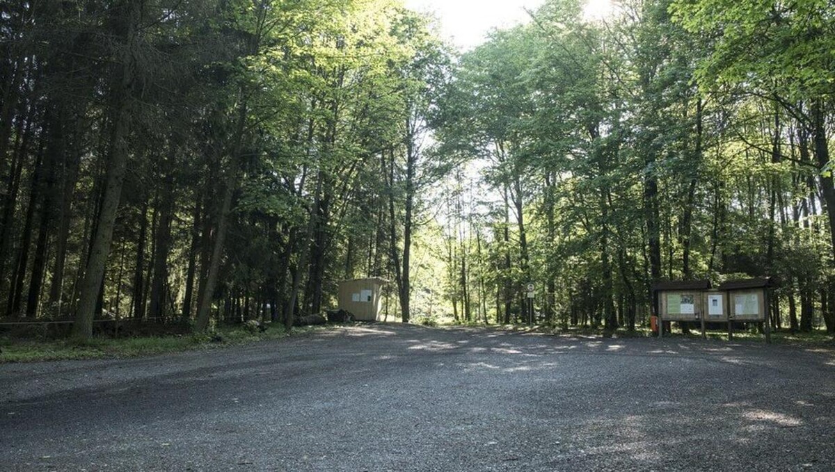 Bilder FriedWald Luisenburg im Fichtelgebirge