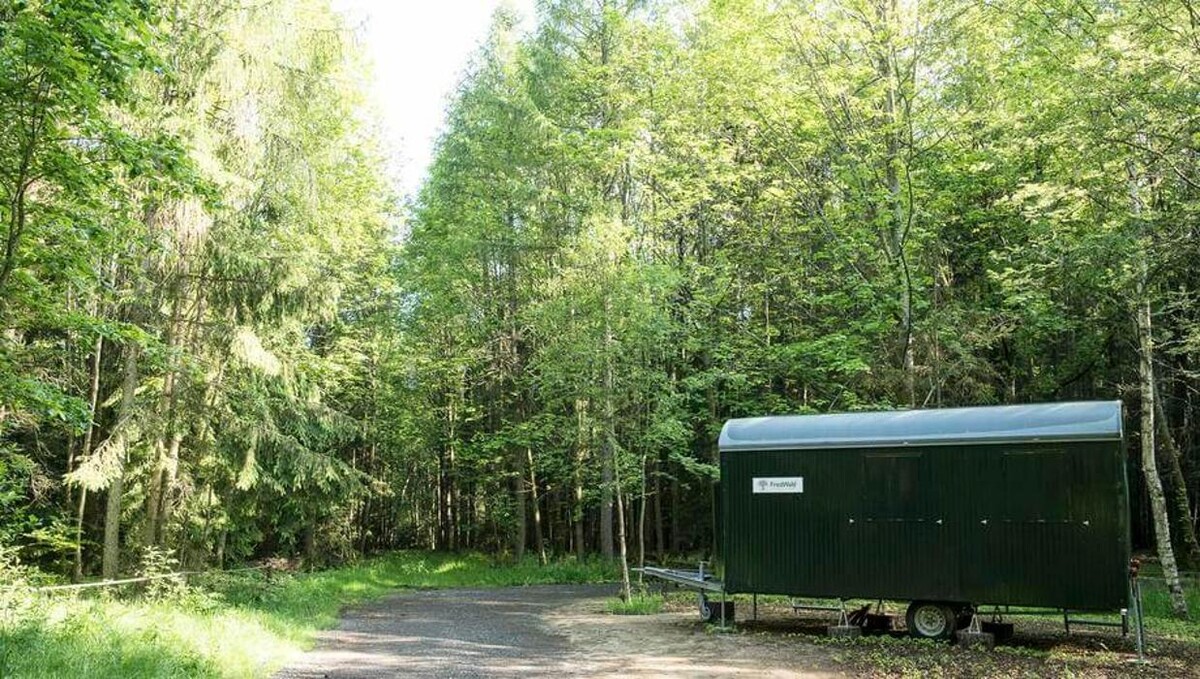 Bilder FriedWald Luisenburg im Fichtelgebirge