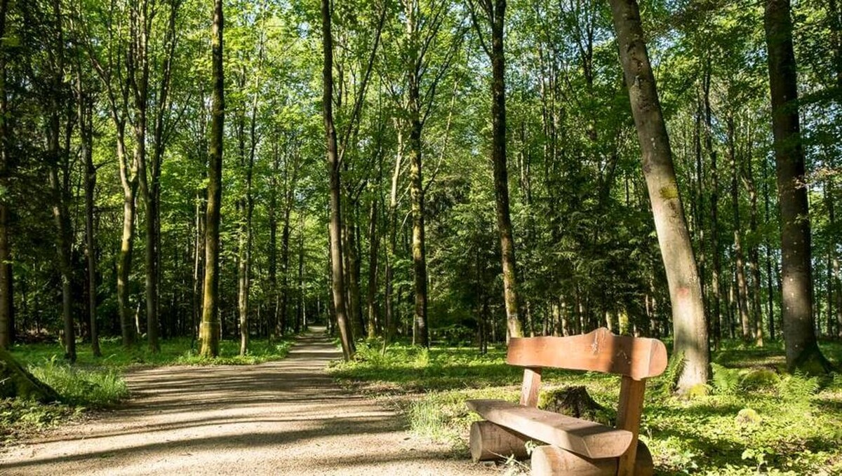Bilder FriedWald Luisenburg im Fichtelgebirge