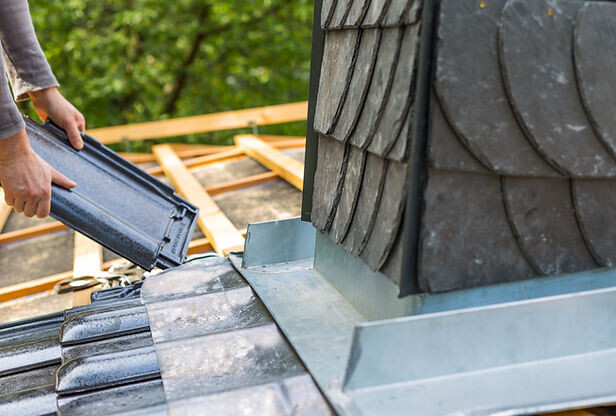 Bilder Dachkonzepte Baum GmbH