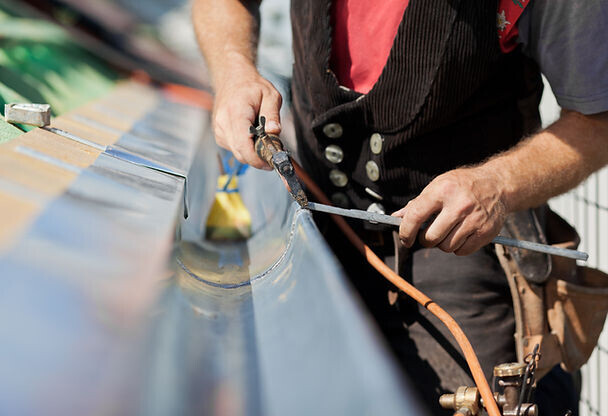 Bilder Dachkonzepte Baum GmbH