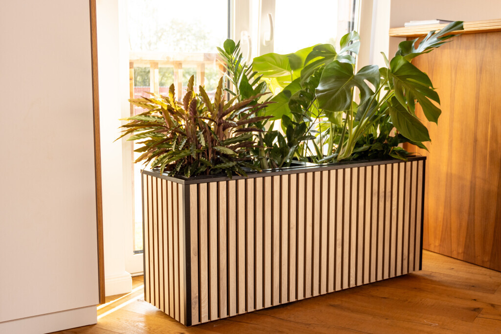 Bilder Holzwerk Friesland GmbH