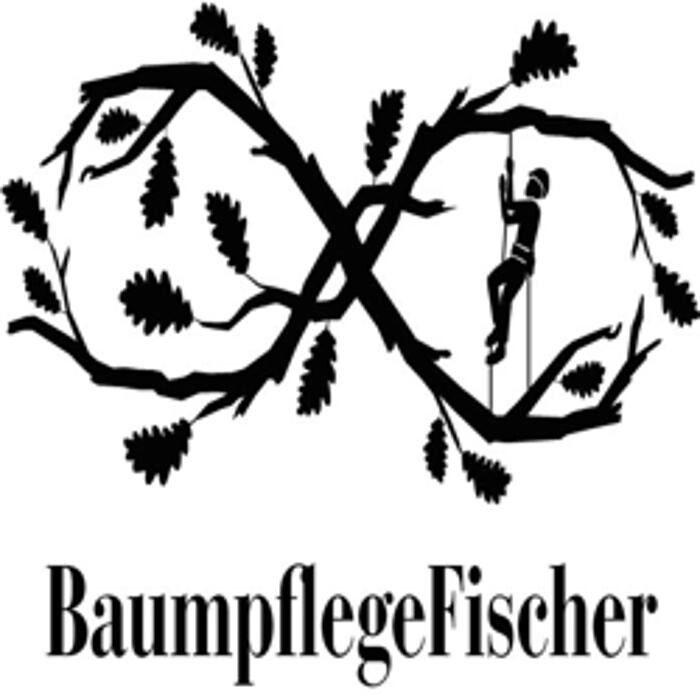 Bilder Baumpflege Fischer