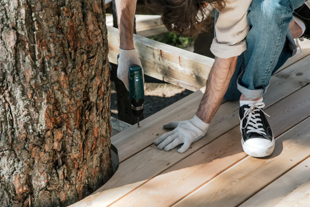 Bilder Robert Schöne Garten - und Bauservice
