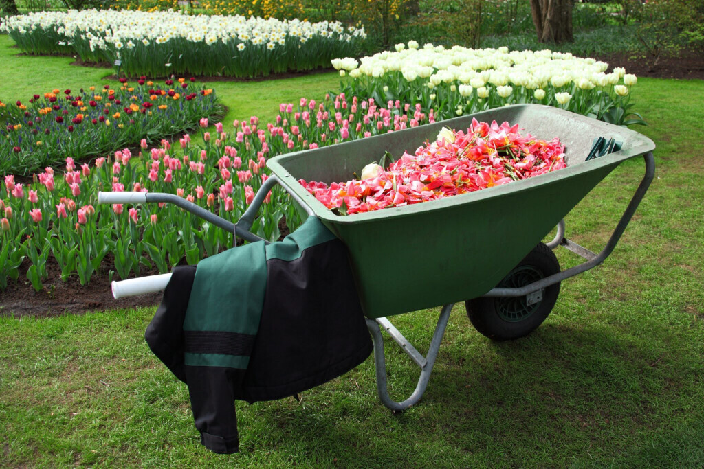 Bilder Gartenbau Howey