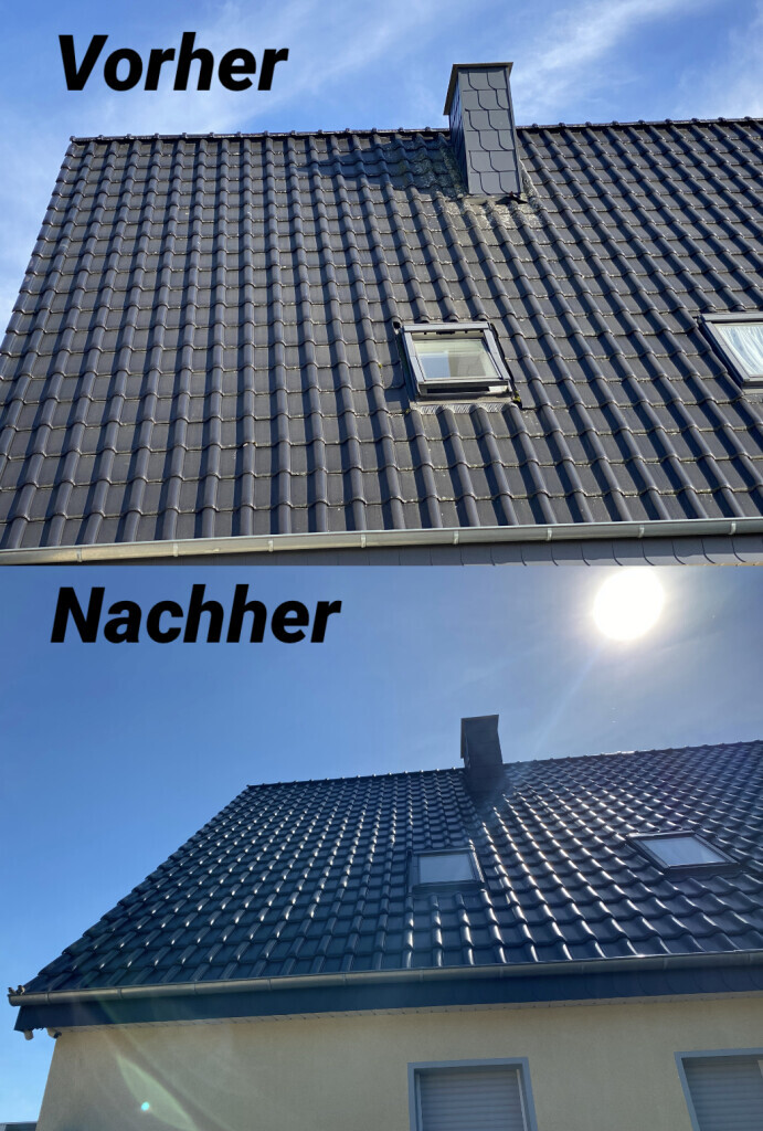 Bilder Hausservice Edi