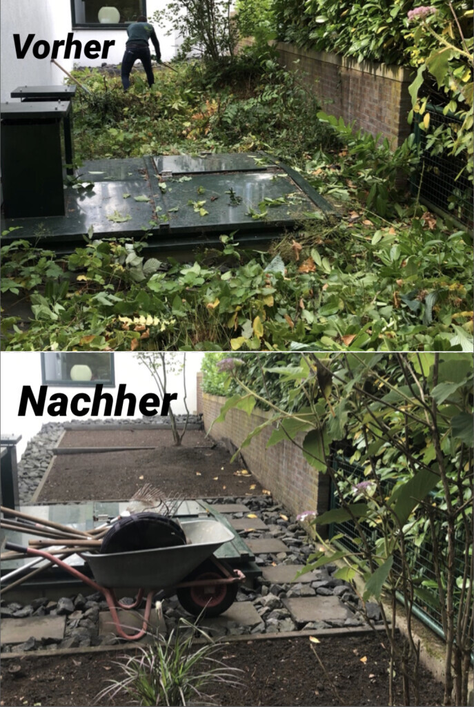 Bilder Hausservice Edi