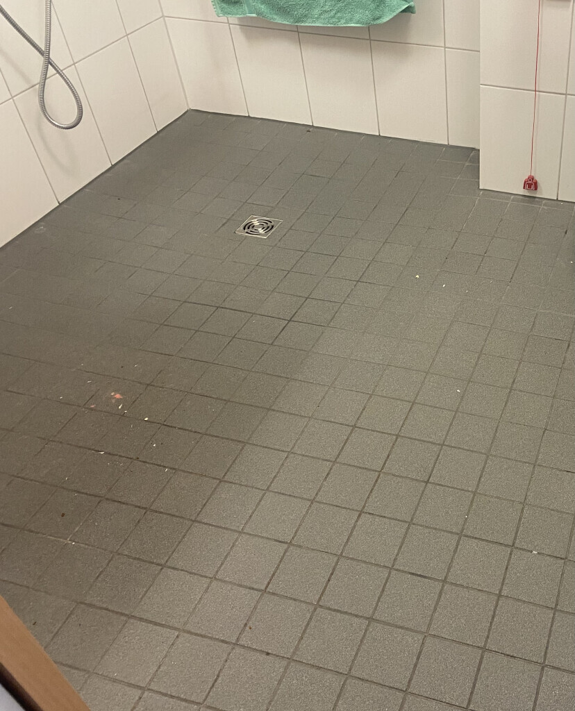 Bilder Hausservice Edi