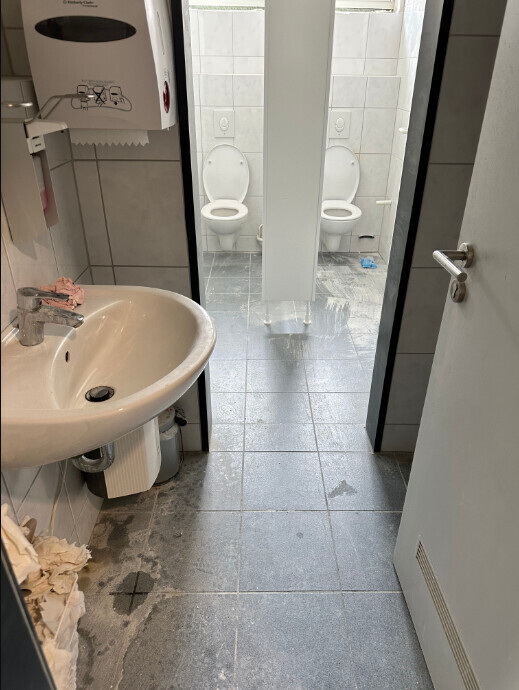 Bilder Hausservice Edi