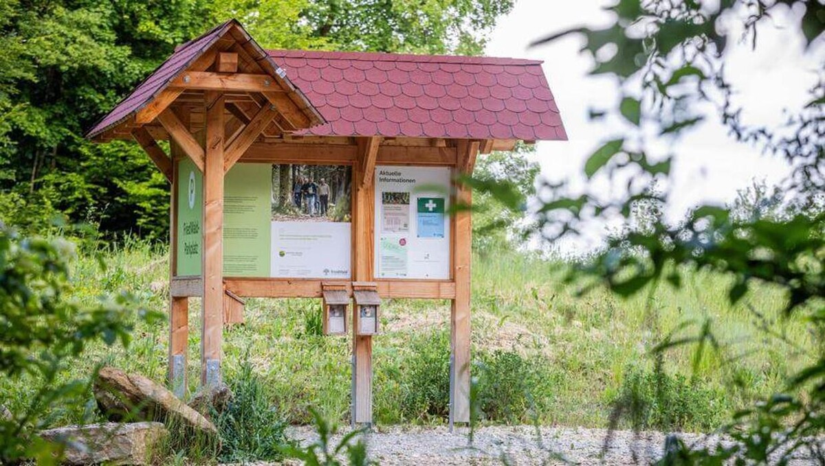 Bilder FriedWald Schurwald