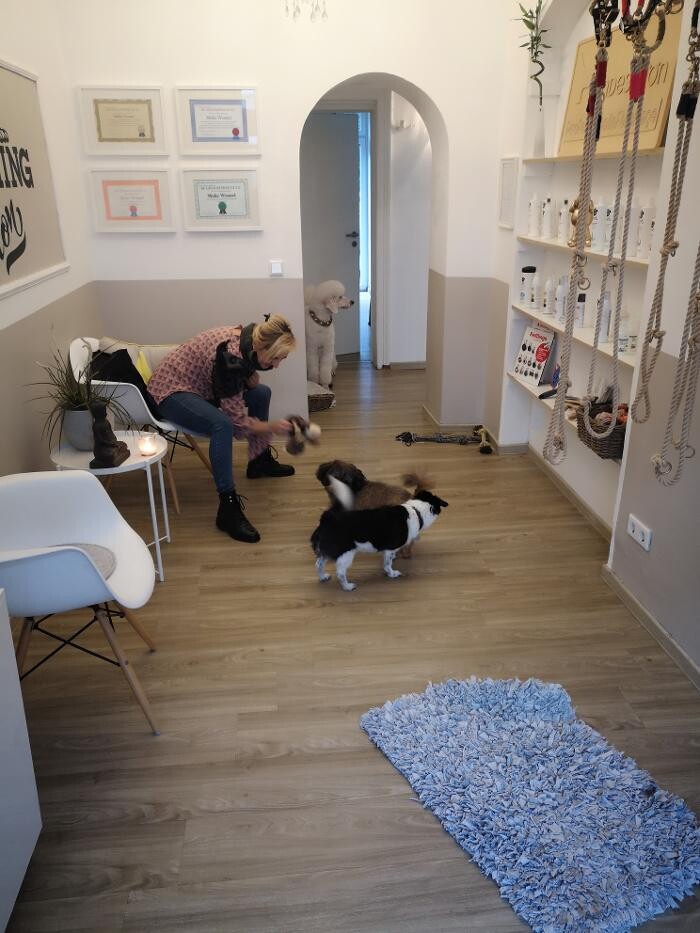 Bilder Wunderfell der Hundesalon