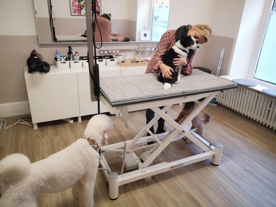 Bilder Wunderfell der Hundesalon