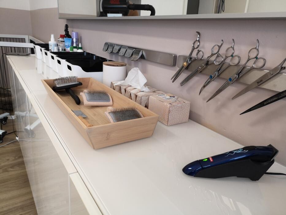 Bilder Wunderfell der Hundesalon