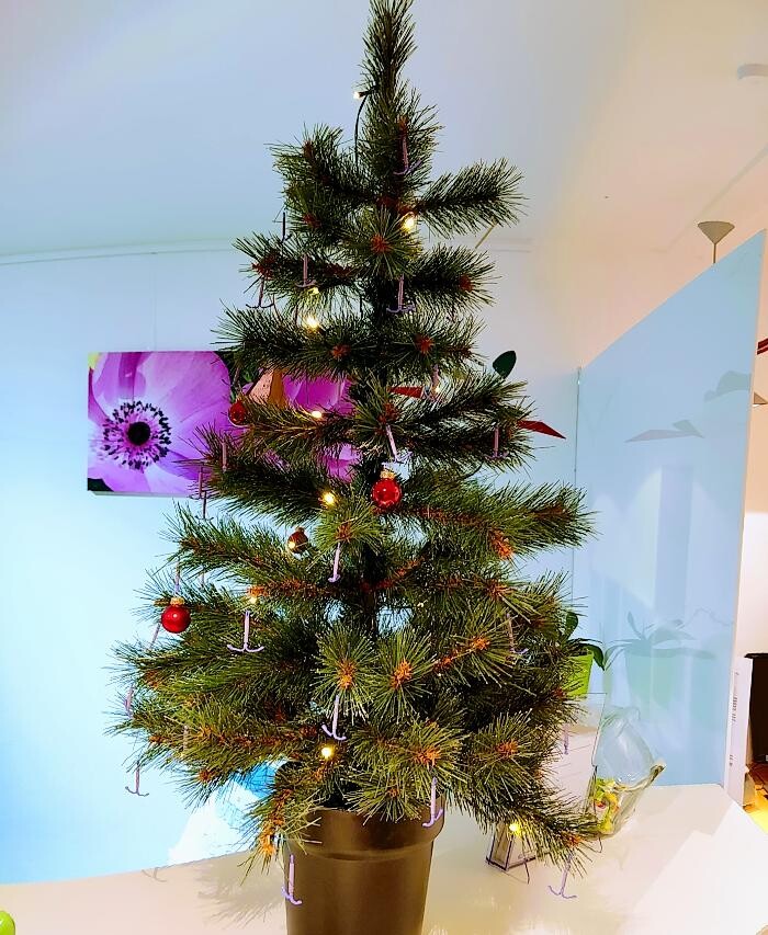 Bilder Frauenarzt Hochzoll-Mitte