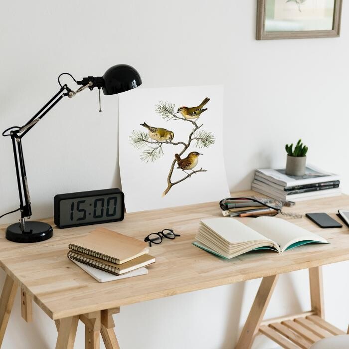 Bilder Frauenarzt Hochzoll-Mitte