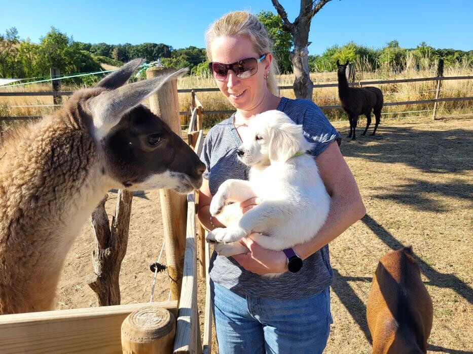 Bilder Lama-Ranch Bad Vilbel