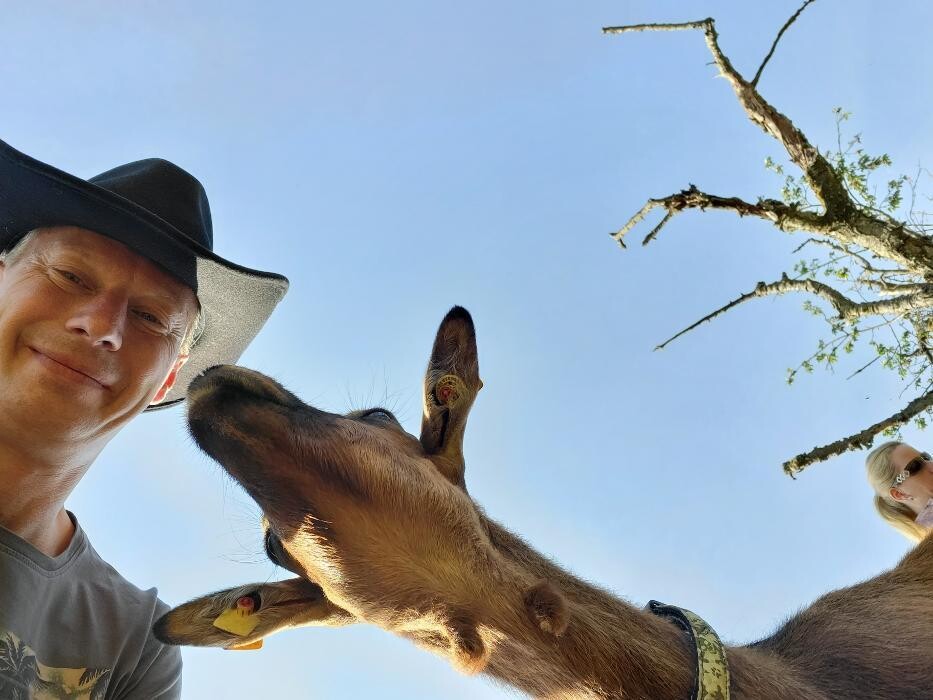 Bilder Lama-Ranch Bad Vilbel
