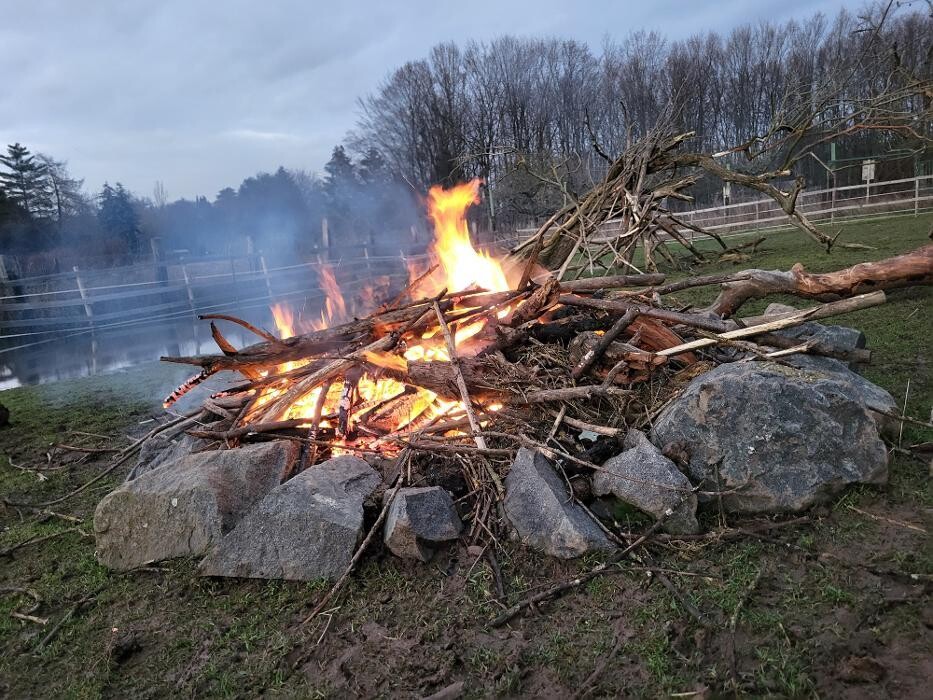 Bilder Lama-Ranch Bad Vilbel