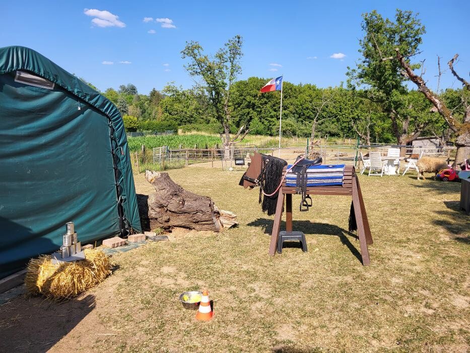 Bilder Lama-Ranch Bad Vilbel