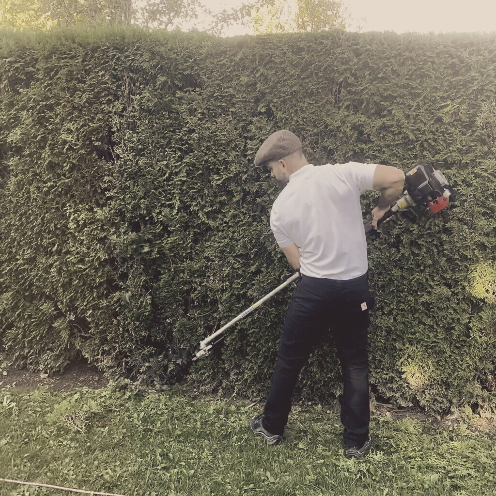 Bilder The Gentlemen Facility Services Alex Maravegias