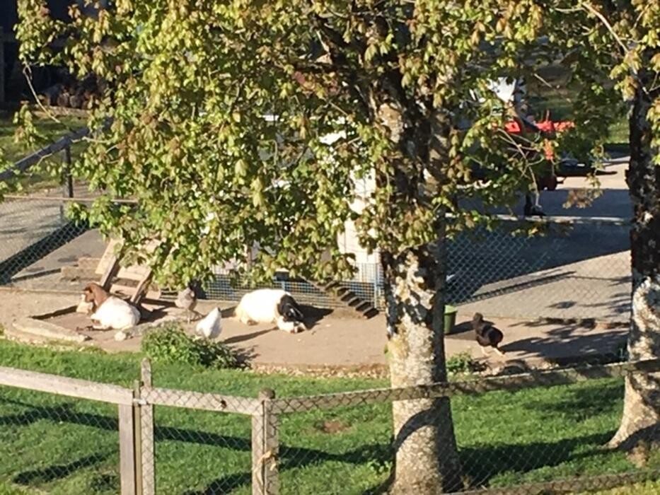 Bilder Ferienwohnungen Kati im Allgäu am Bodensee