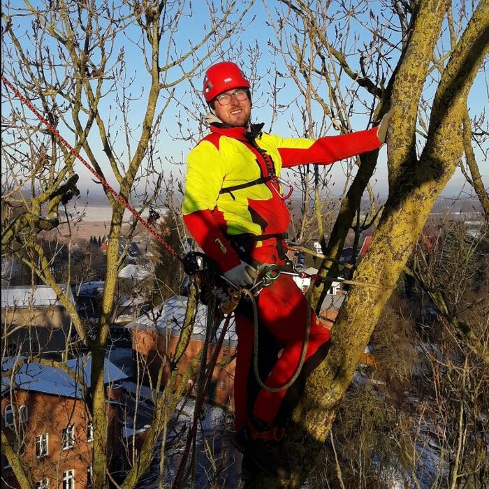 Bilder Baum & Garten OH