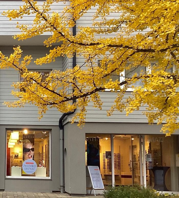 Bilder MATT optik Schondorf