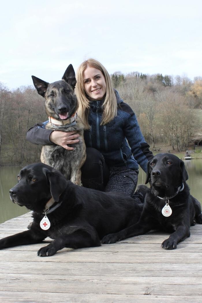 Bilder Hundeschule Südwest