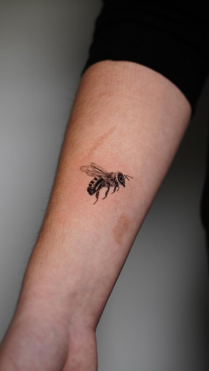 Bilder Cosmos Tattoo