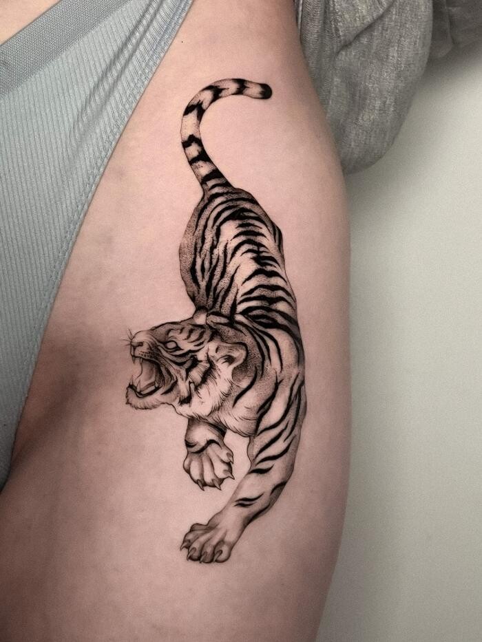 Bilder Cosmos Tattoo