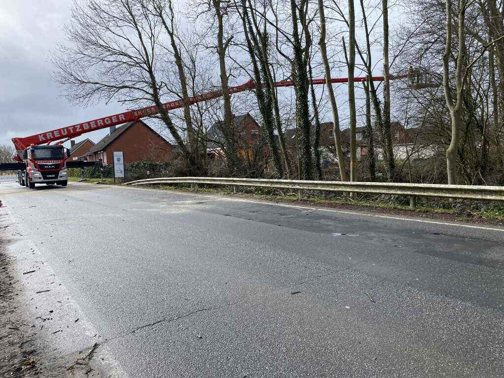 Bilder ... unser Gärtner Björn Steffen - Garten- und Landschaftsbau