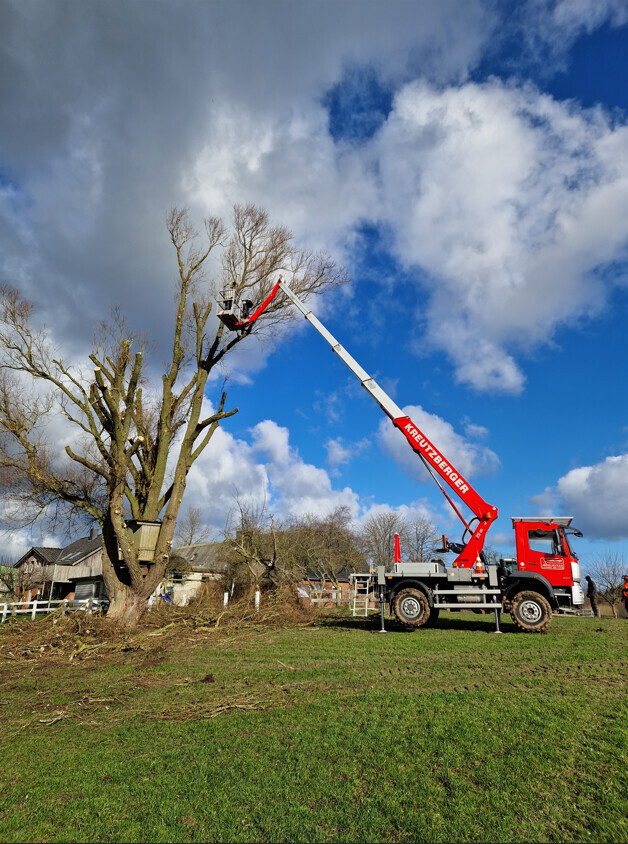 Bilder ... unser Gärtner Björn Steffen - Garten- und Landschaftsbau