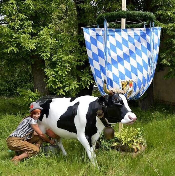 Bilder dd Eventmodul-vermietung
