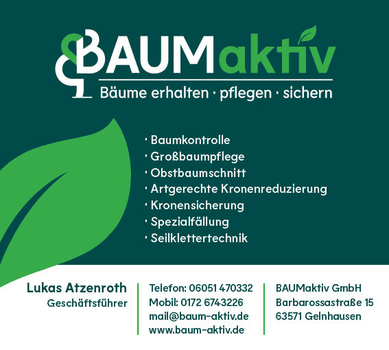 BAUM-aktiv GmbH Logo