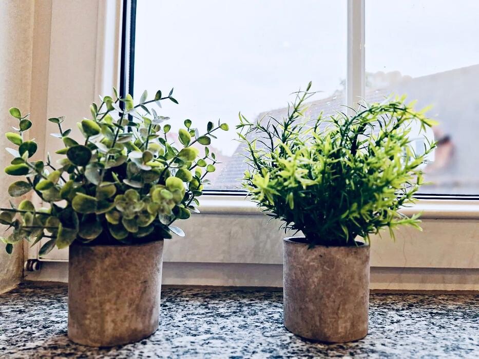 Bilder Psychotherapeutische Privatpraxis | Miruna Purcar