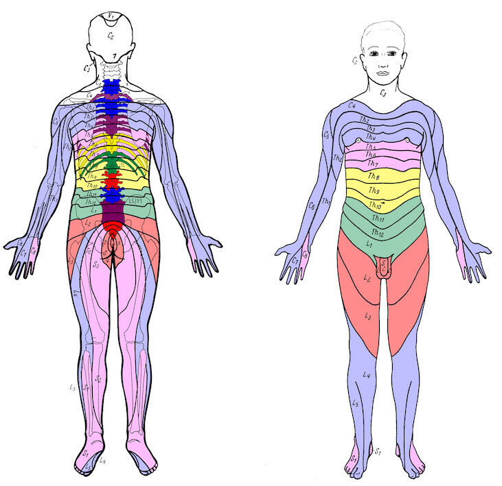 Bilder Praxis D. Th. Hoffmann