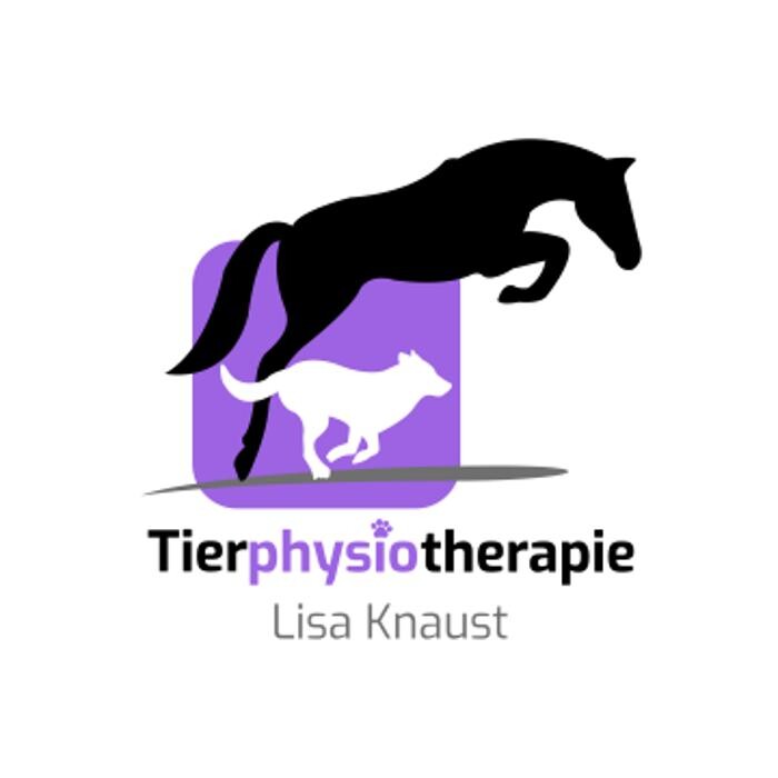 Bilder Tierphysiotherapie Lisa Knaust